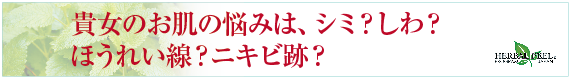 貴女のお肌の悩みは、シミ？しわ？ほうれい線？ニキビ跡？